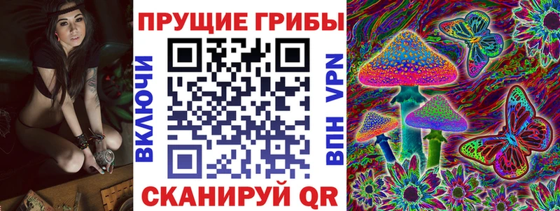 Псилоцибиновые грибы GOLDEN TEACHER  Нытва 
